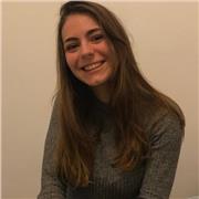 Clases particulares des de primaria hasta la ESO y bachillerato social